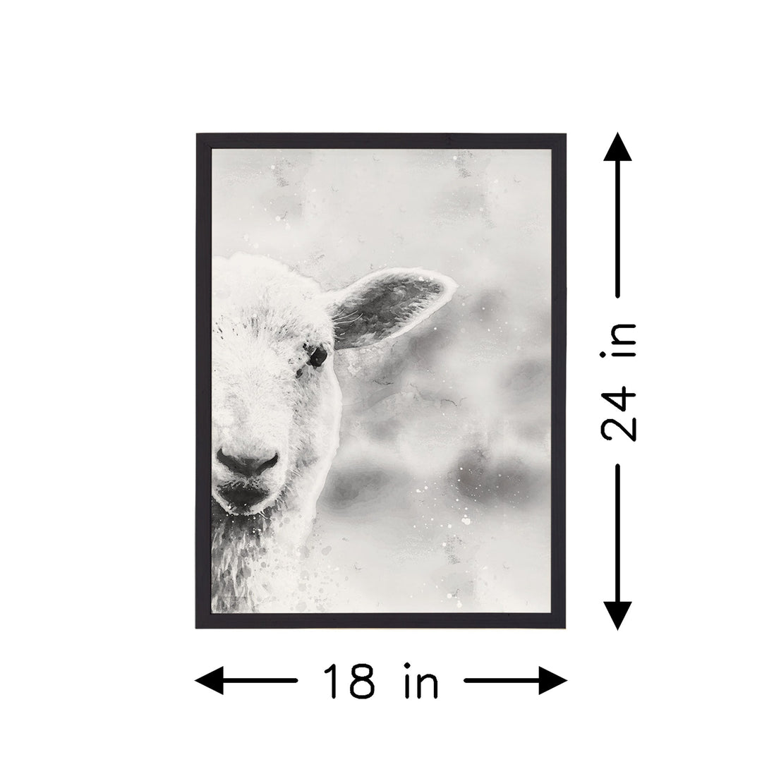 B&W Lamb