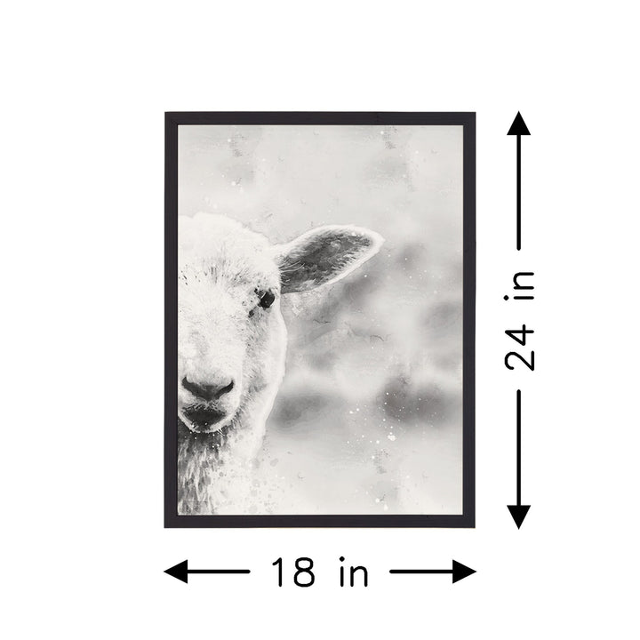 B&W Lamb