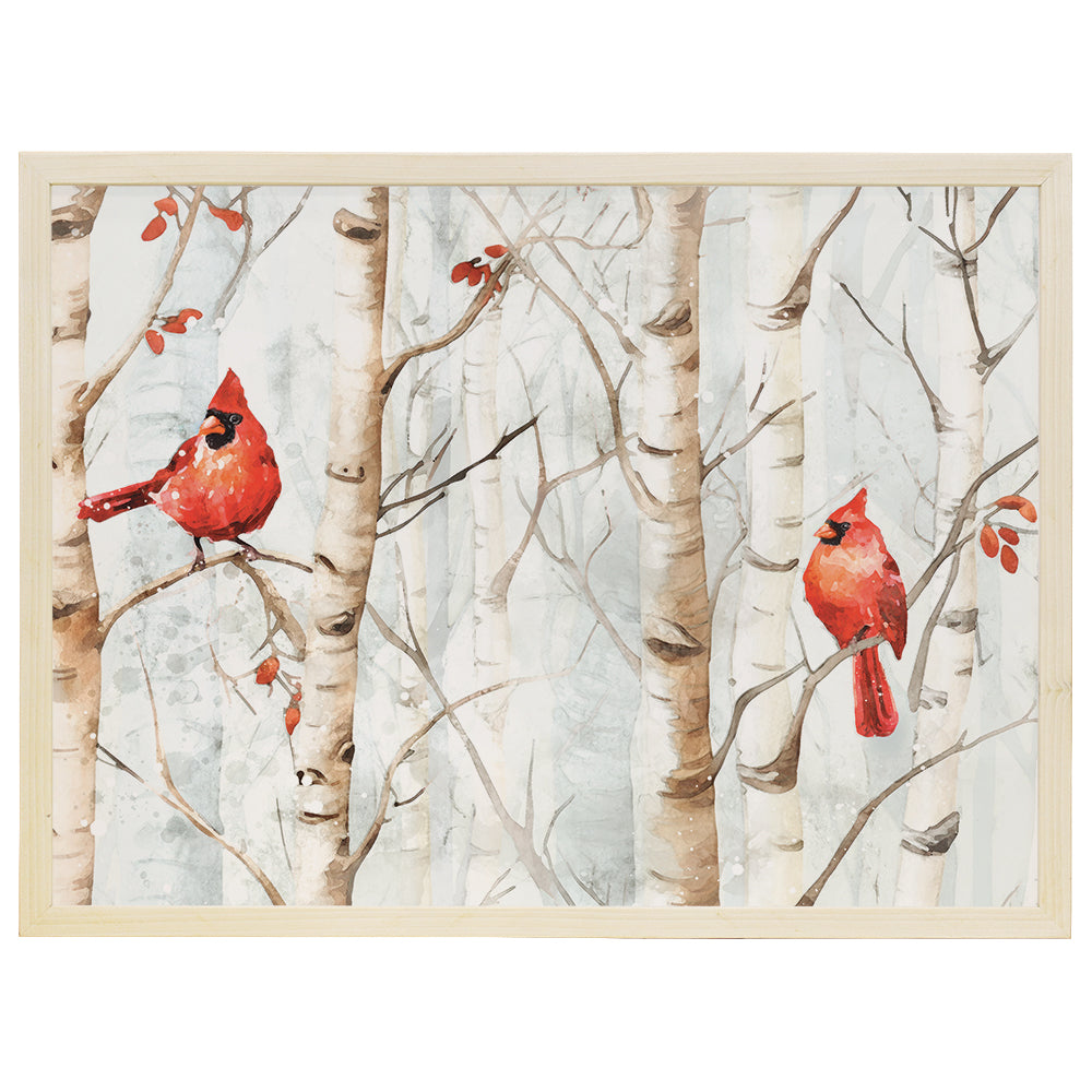 Cardinals Birch Trees