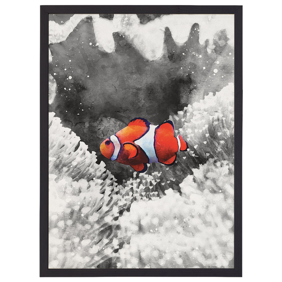 B&W Orange Clownfish