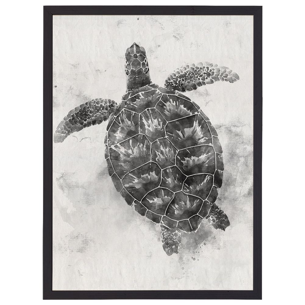 B&W Sea Turtle