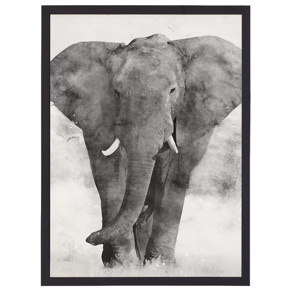 B&W Elephant