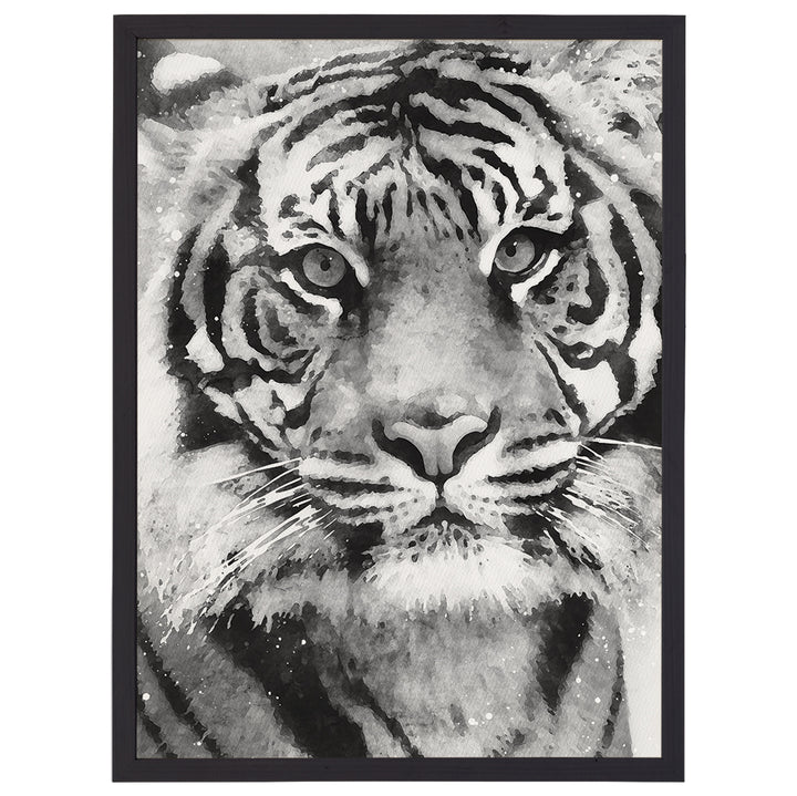 B&W Tiger