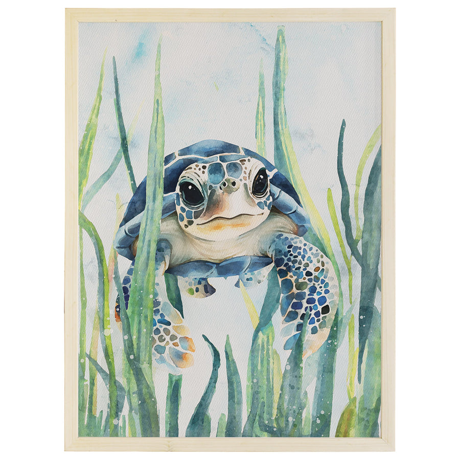 Baby Turtle Seagrass