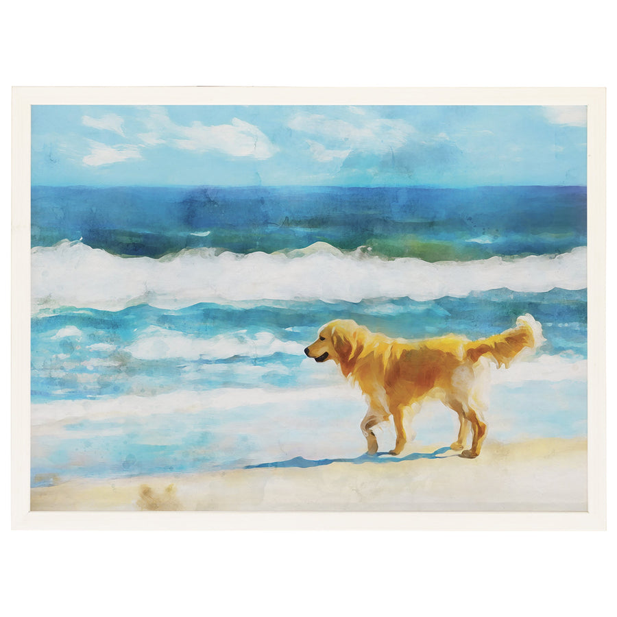 Beach Dog Scene