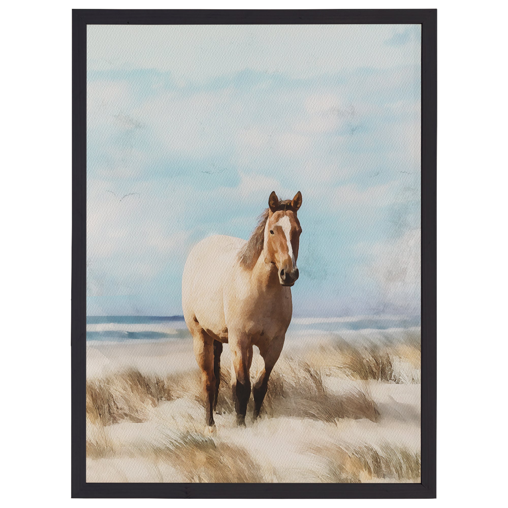 Beach Horse Grass