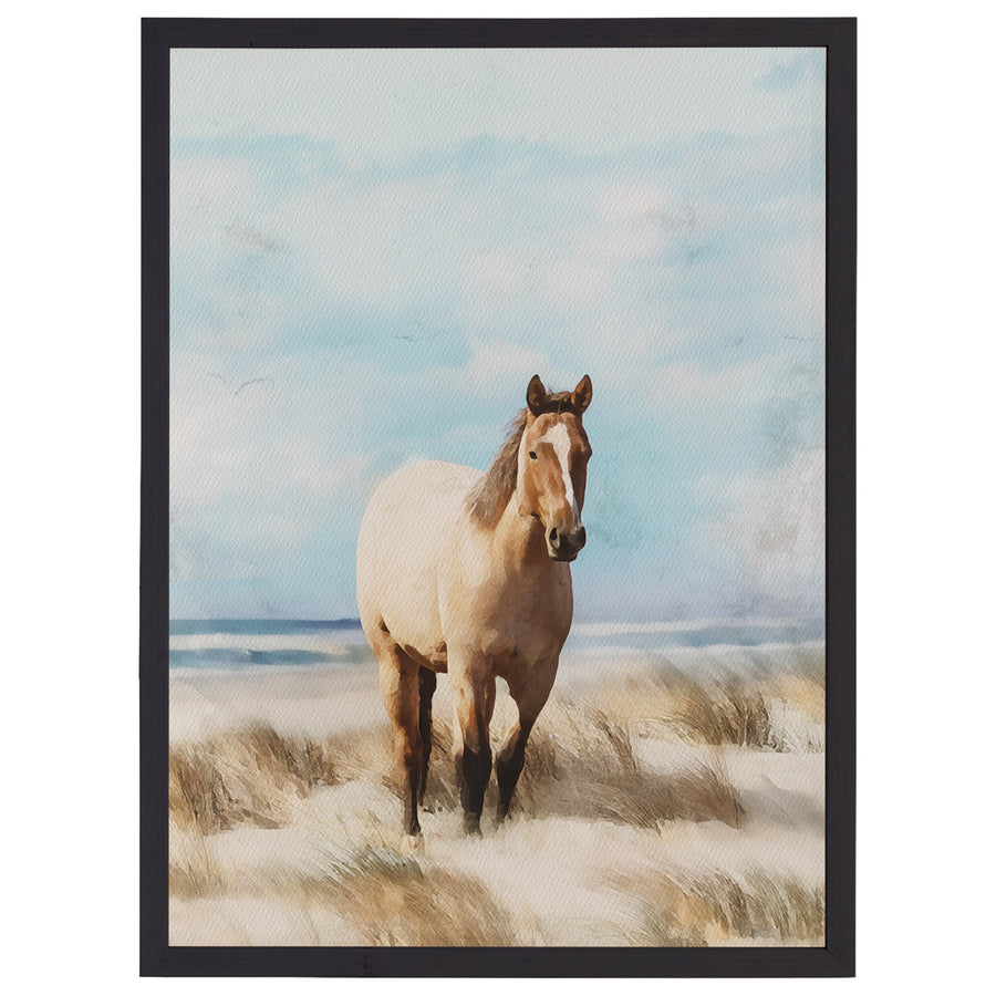 Beach Horse Grass