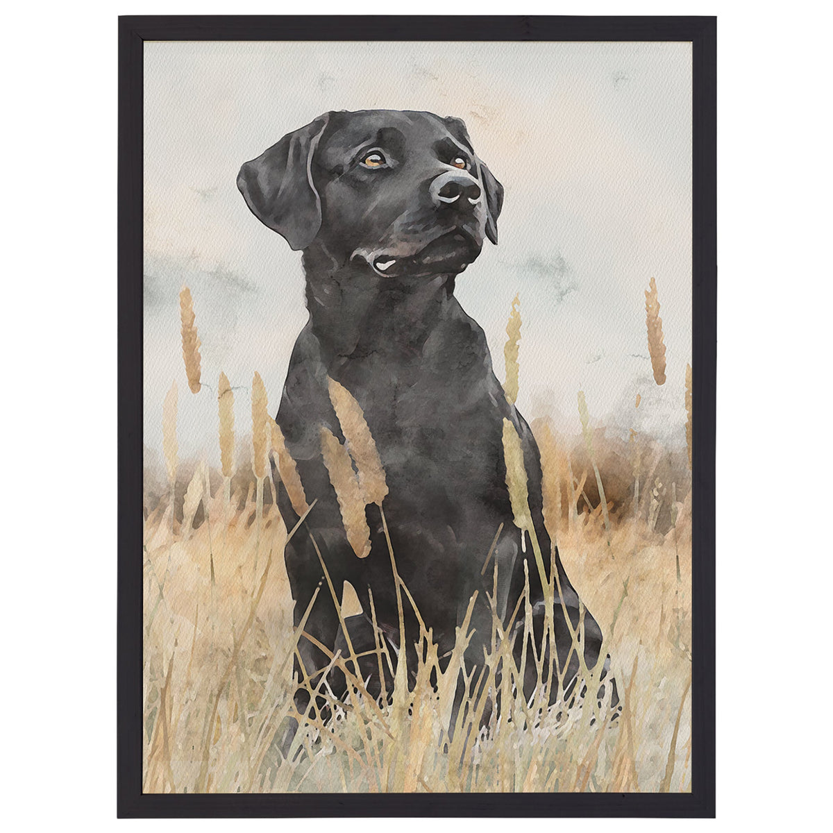 Labrador Grass Scene
