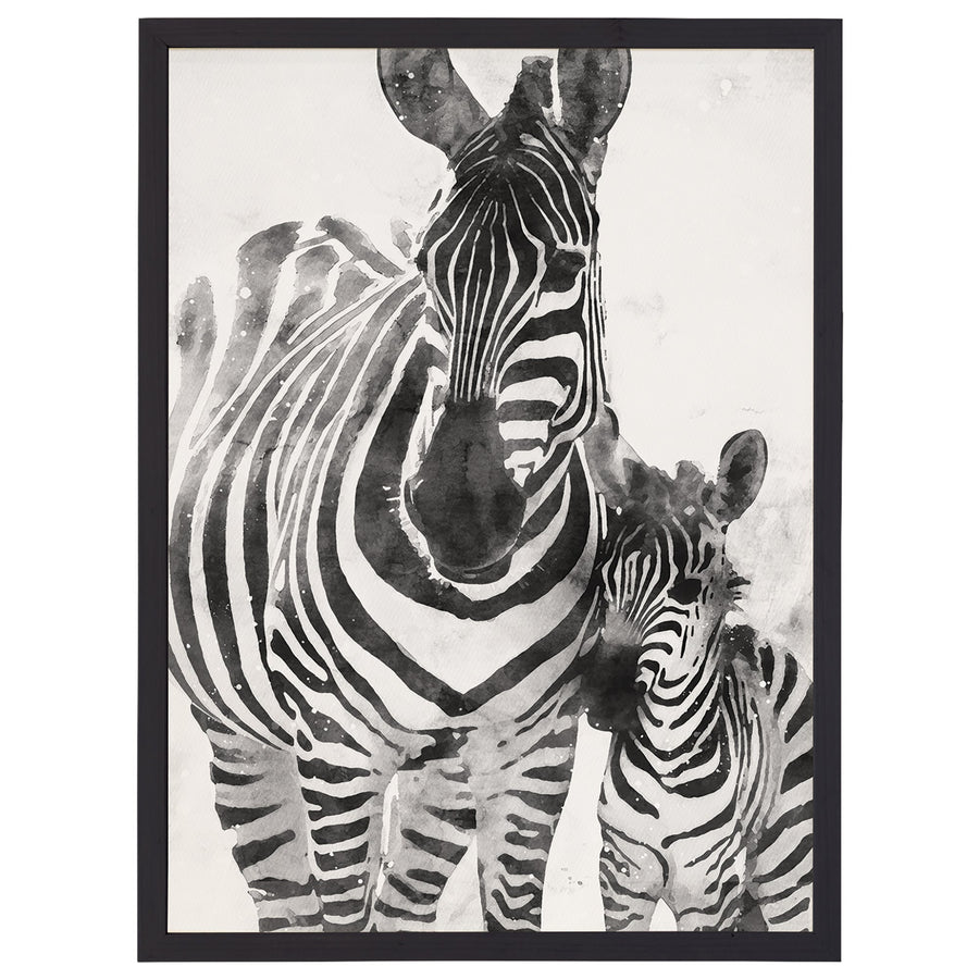 B&W Zebras