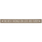 Best Things Furry 