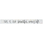 Beautiful Crazy Life 