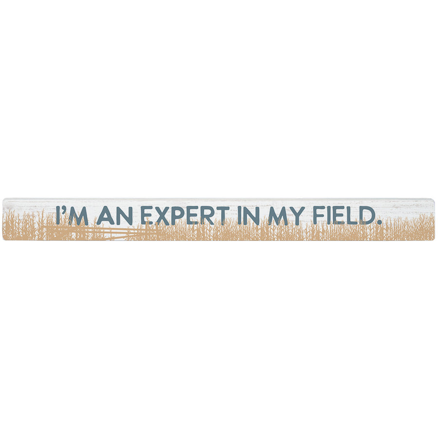 Expert In Field