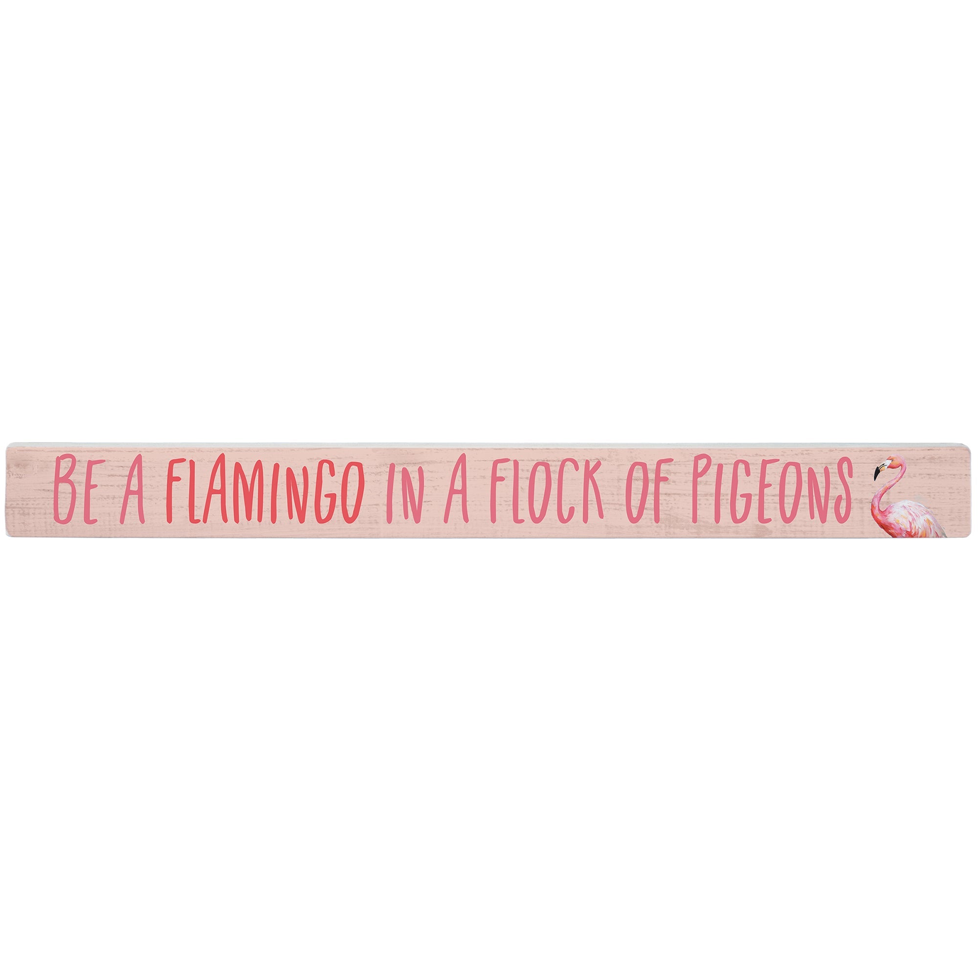 Flamingo Pigeons