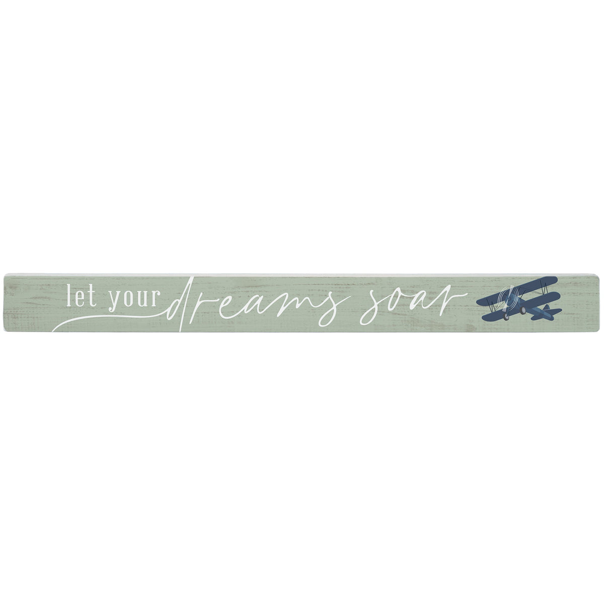 Dreams Soar Plane