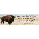 Every Sunrise Bison
