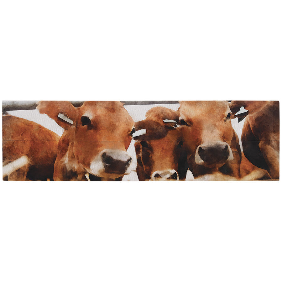 Cows At The Bunk