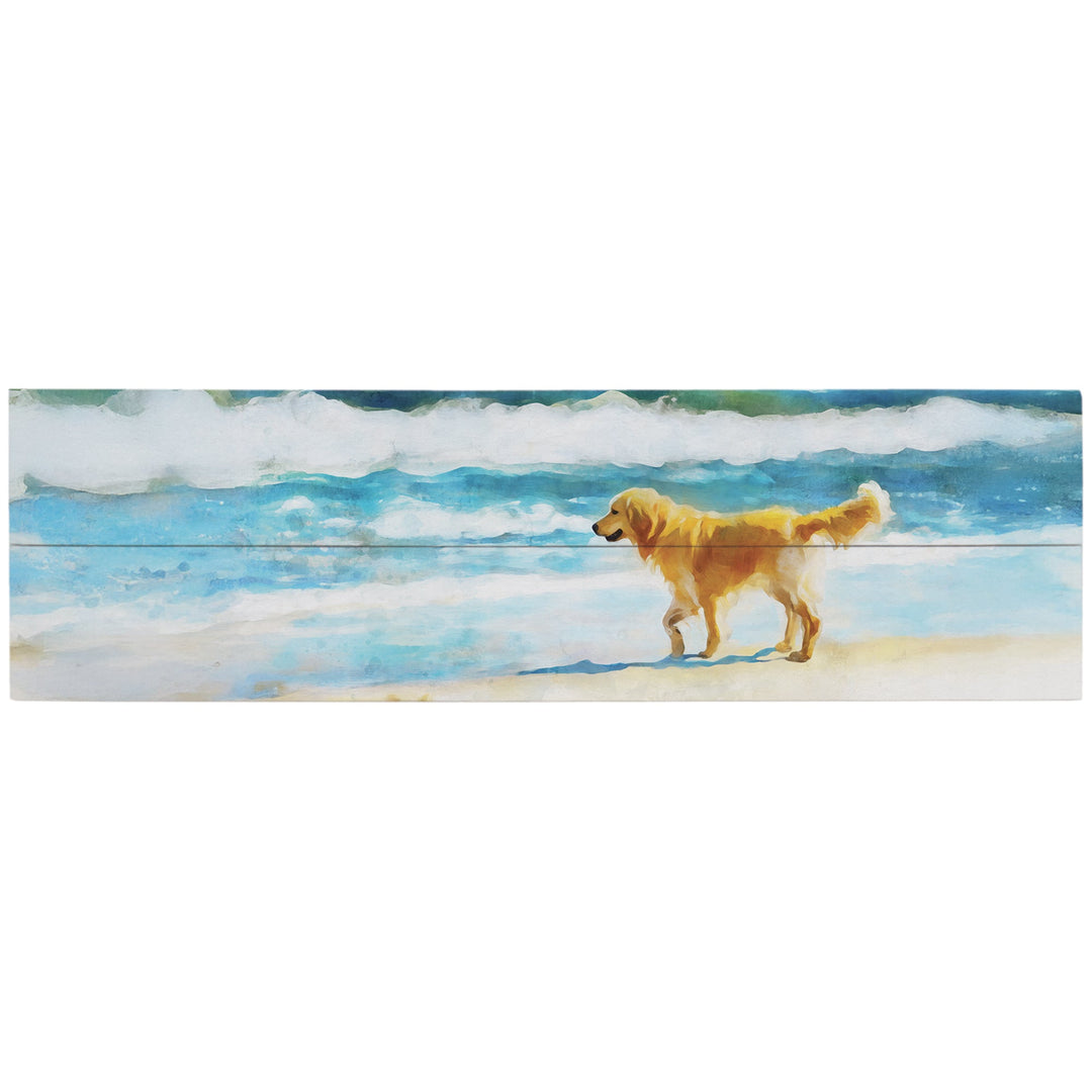 Beach Dog Scene