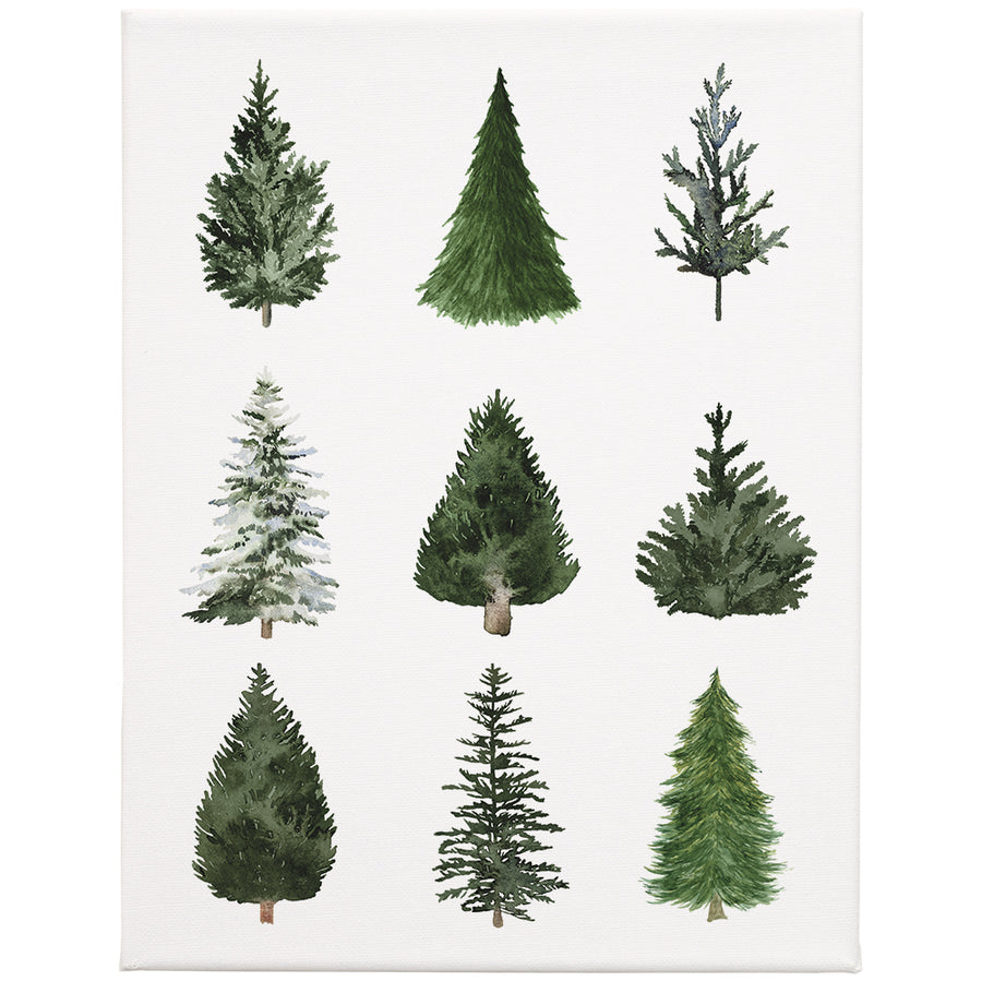 Evergreen Trees 9x12