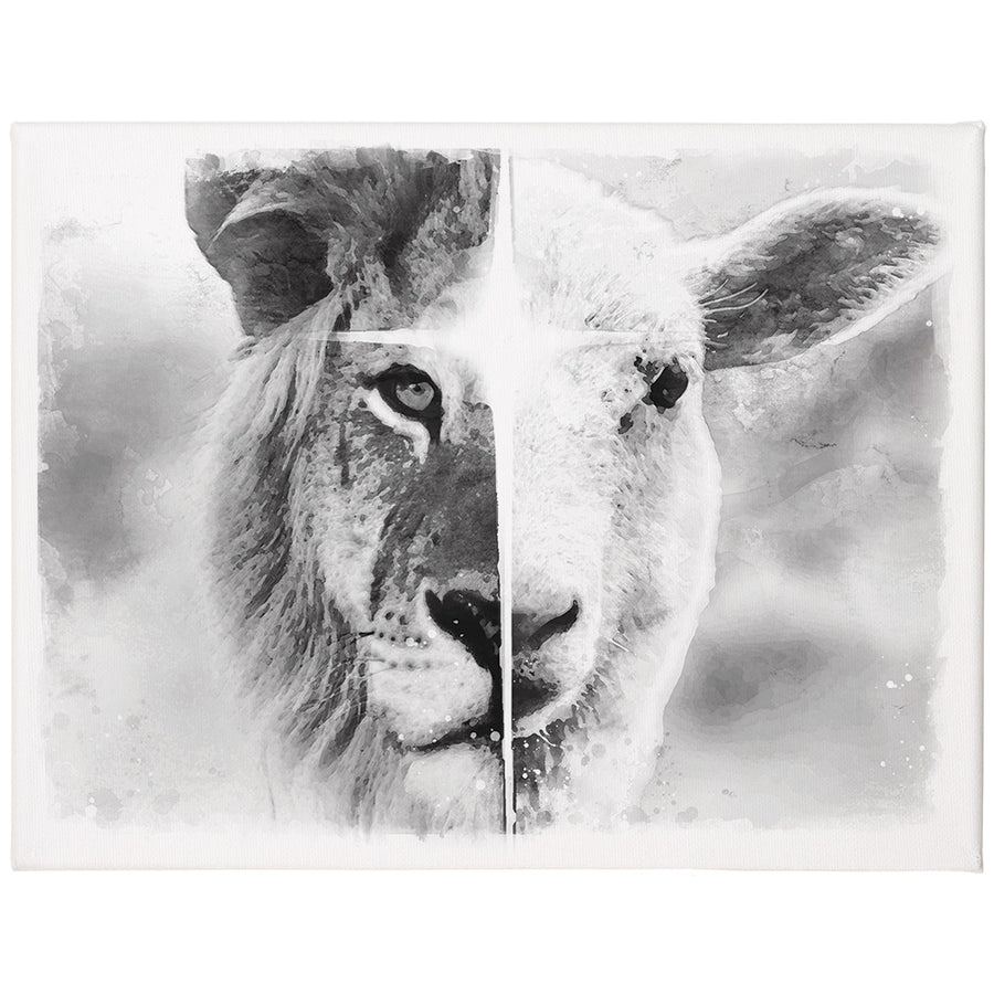 B&W Lion Lamb 12x9