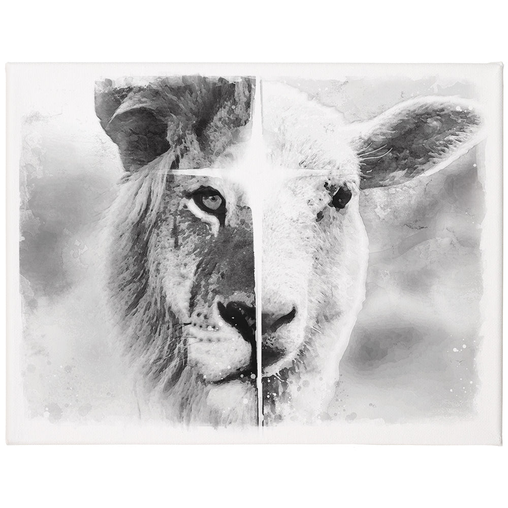 B&W Lion Lamb 17x13