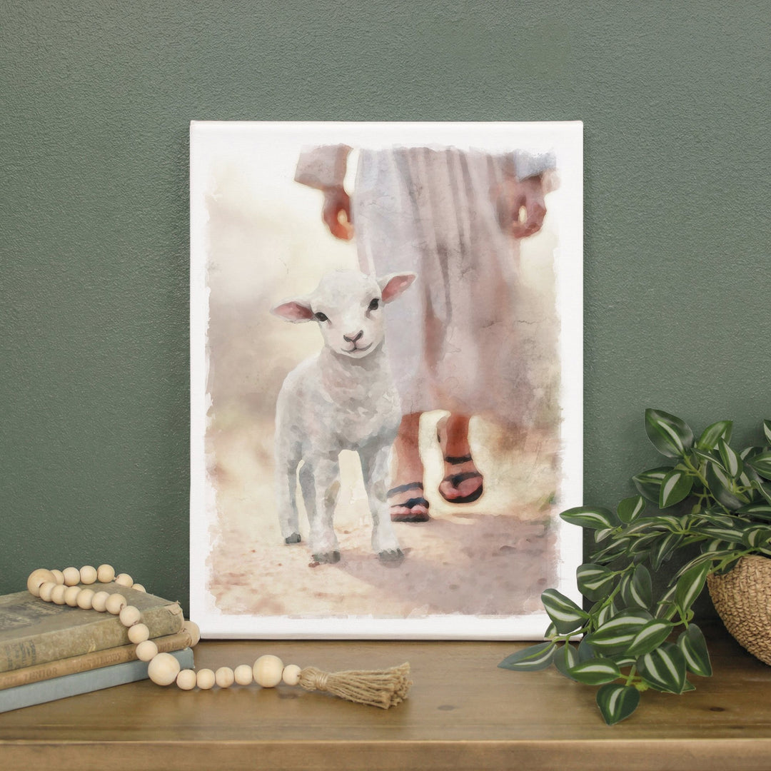 Lamb Walking On Path