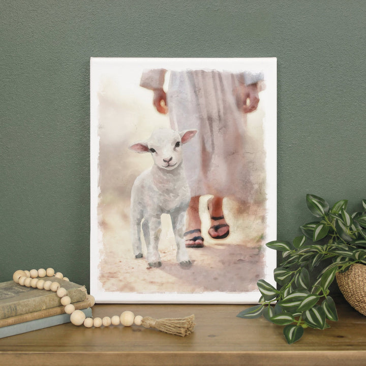 Lamb Walking On Path