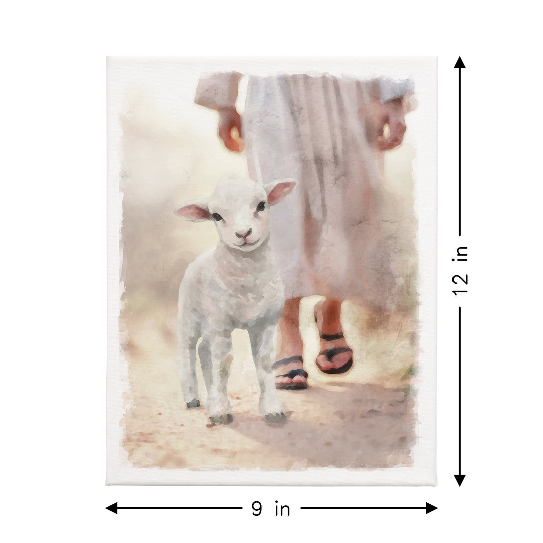 Lamb Walking On Path