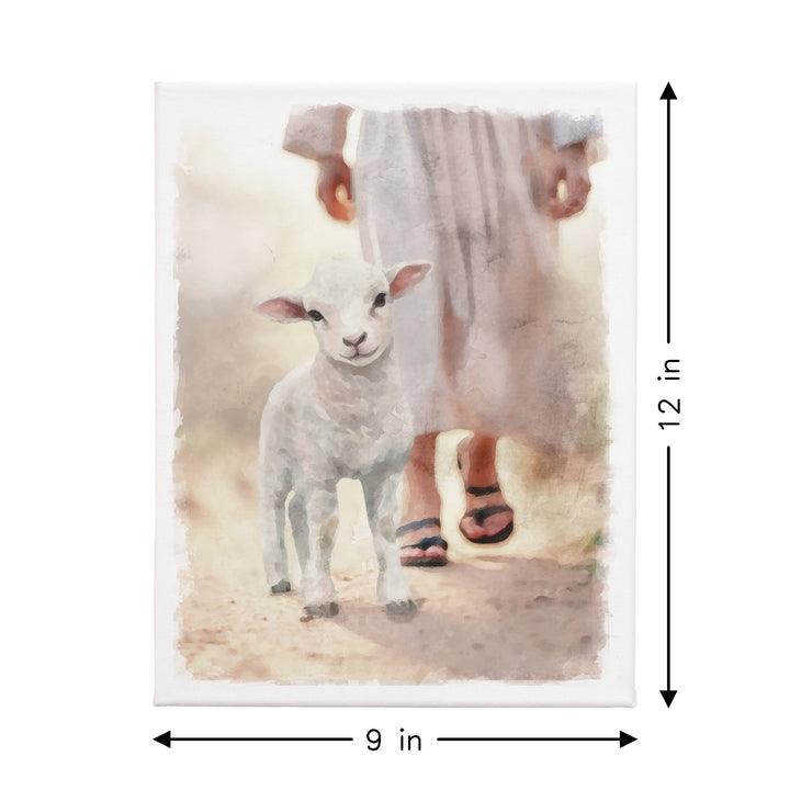 Lamb Walking On Path