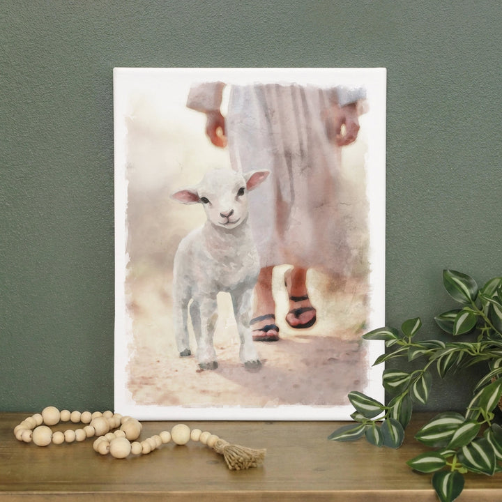 Lamb Walking On Path