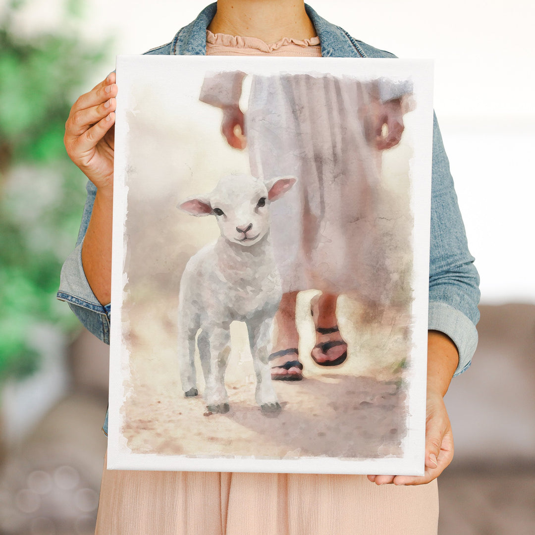 Lamb Walking On Path