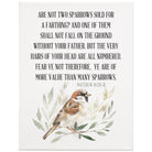 Worth Many Sparrows 9x12