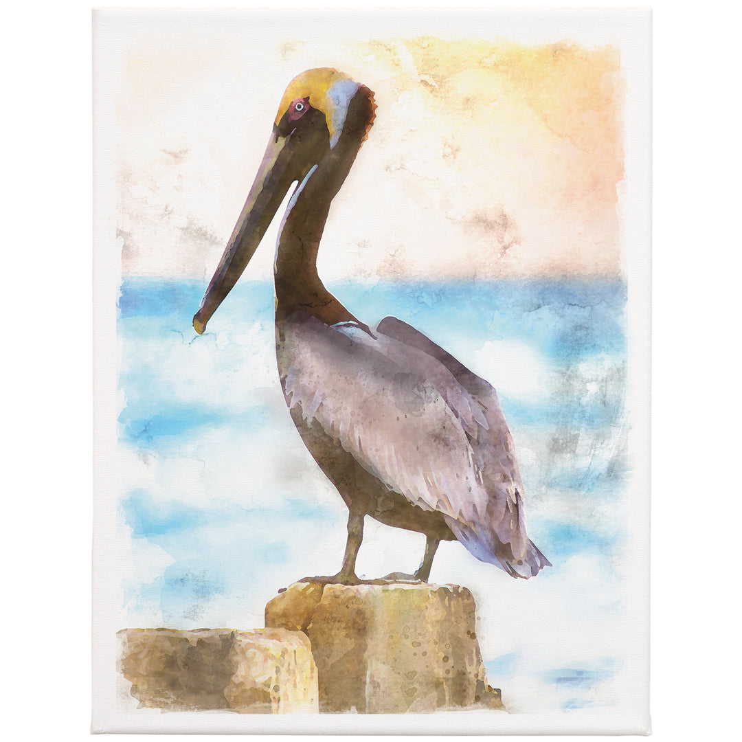 Pelican Scene 9x12