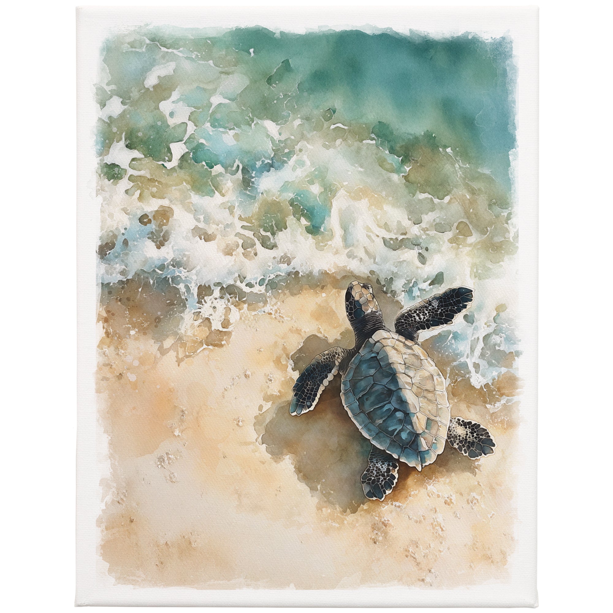 Turtle Shoreline 9x12